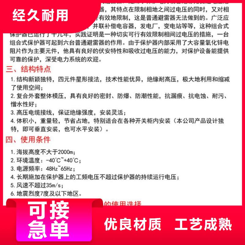 〖过电压保护器〗TBP-A-42/310直供厂家