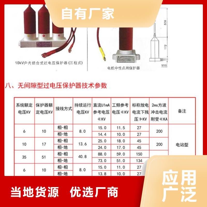 【过电压保护器】TBP-A-42/310