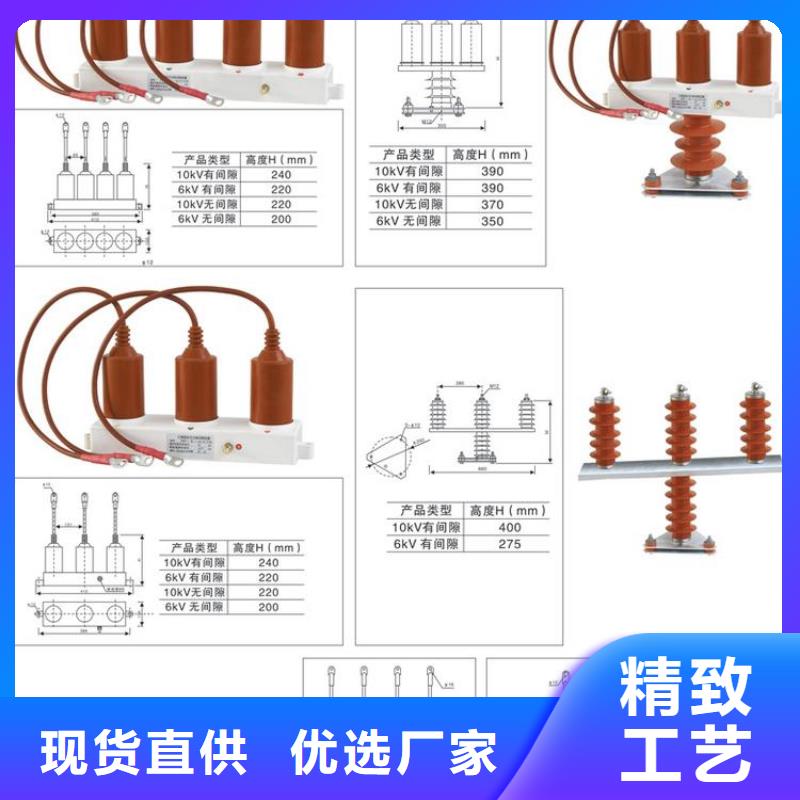 【过电压保护器】TBP-A-42/310