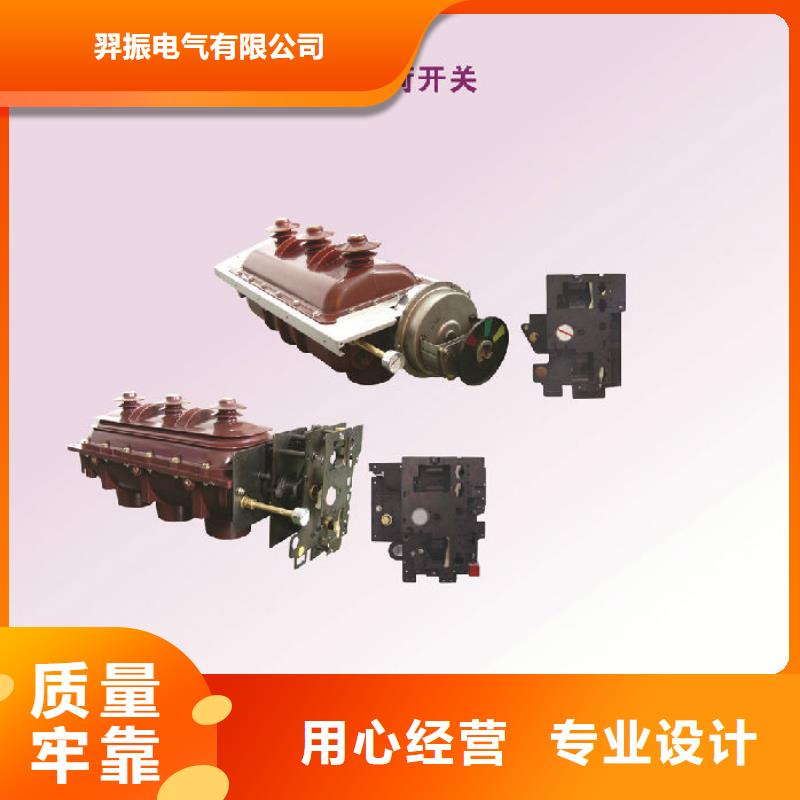 压气式负荷开关(熔断器组合电器)FKN12-10/630-20_