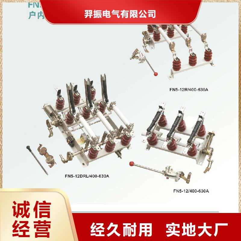压气式负荷开关(熔断器组合电器)FKN12-10/630-20_