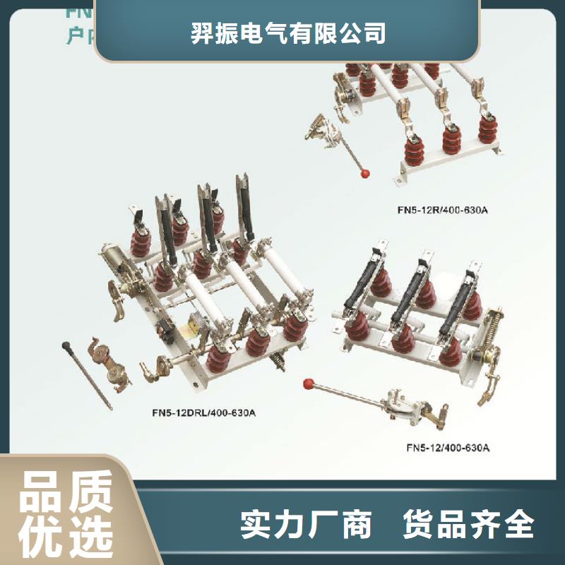 【羿振电力设备】高压负荷开关FN16-12/T630老品牌值得信赖
