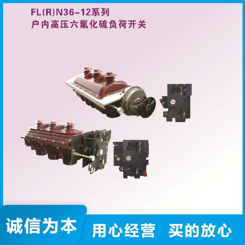 FZRN25A-10D/T200-31.5高压负荷开关