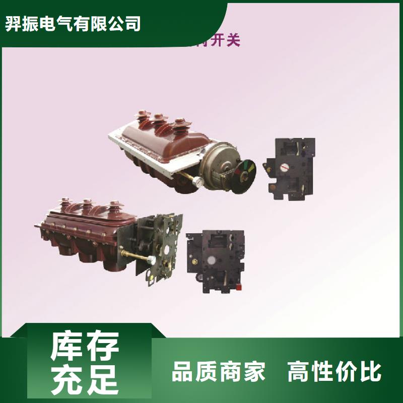 _羿振电气FZN25-12RD/T125-31.5正装左操,电合电分,带接地