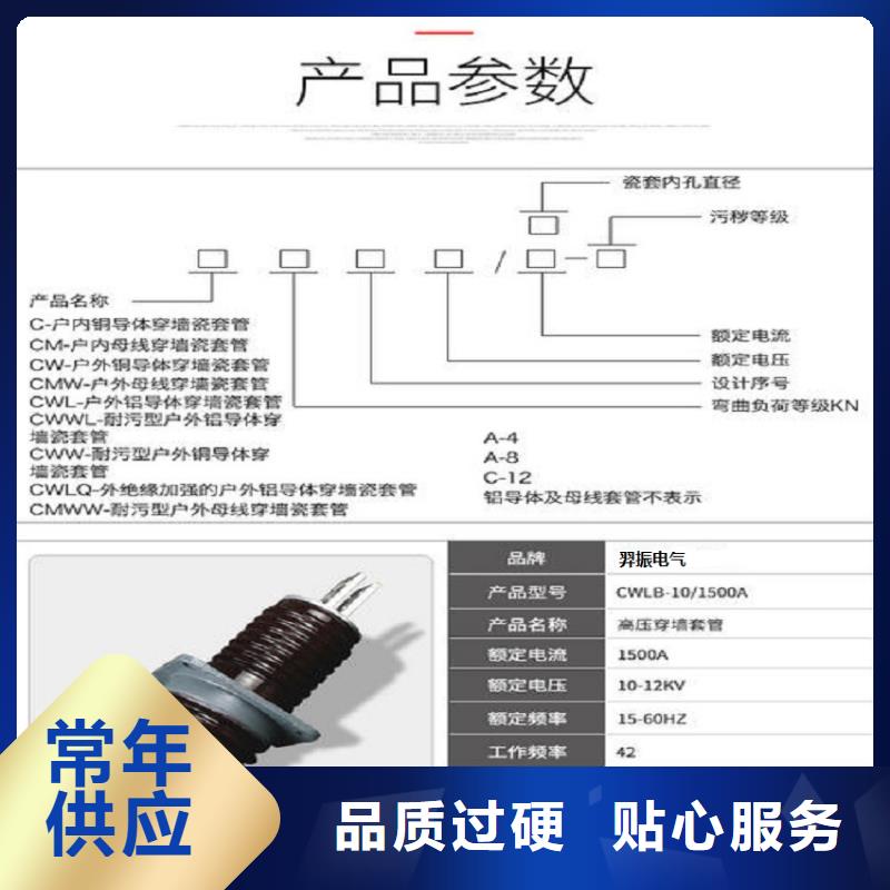 【穿墙套管】CWWL-35/1600