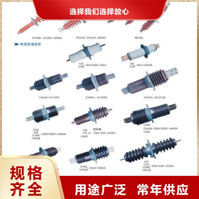 交流穿墙套管,AC20KV,陶瓷,2500A,无CT,铜.