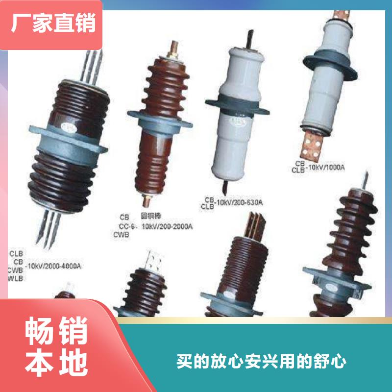 交流穿墙套管,AC20KV,陶瓷,2500A,无CT,铜.