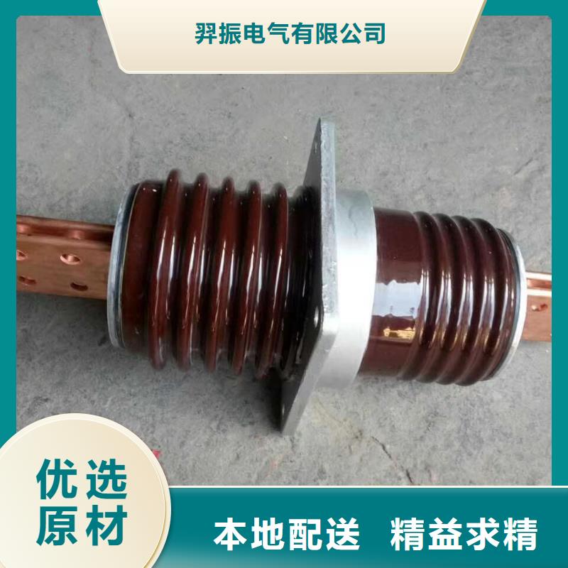 交流穿墙套管,AC20KV,陶瓷,2500A,无CT,铜.