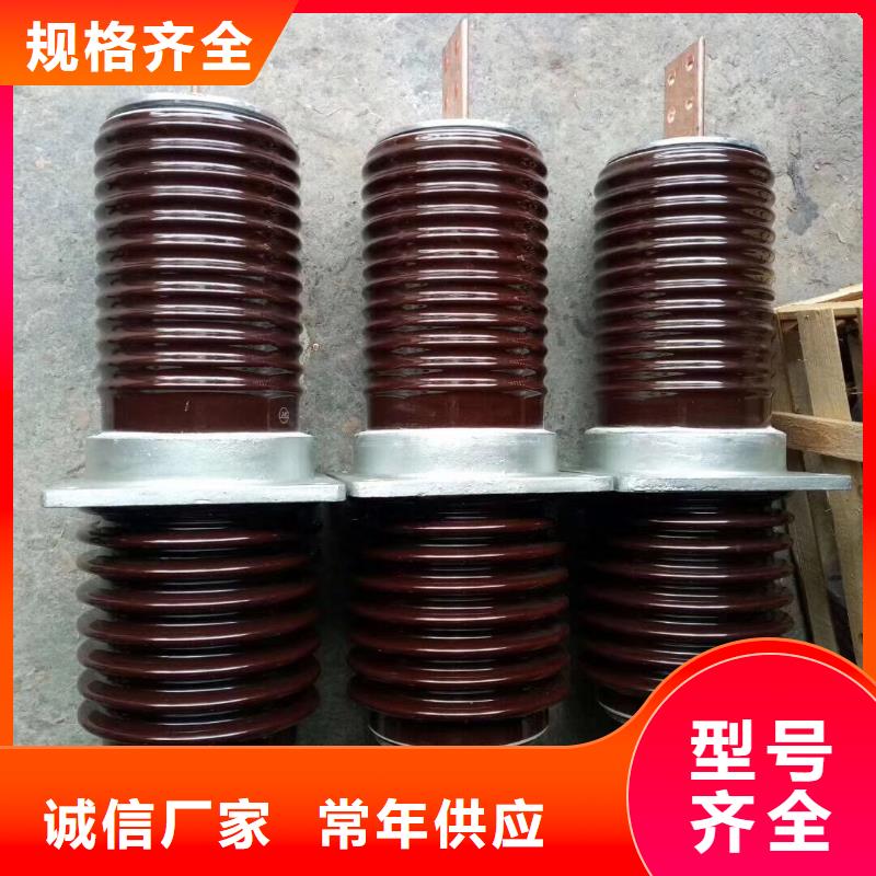 交流穿墙套管,AC20KV,陶瓷,2500A,无CT,铜.