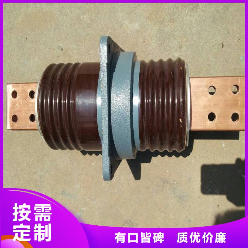 【高压穿墙套管】CWW-35/4000