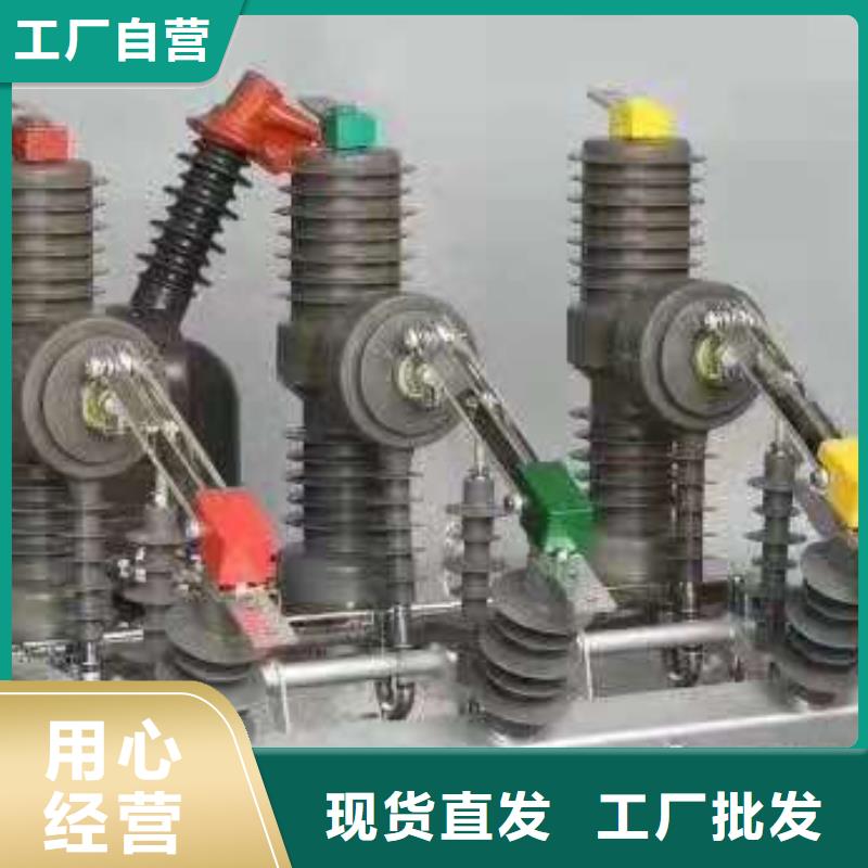 【断路器】ZW32F-12/1250-25