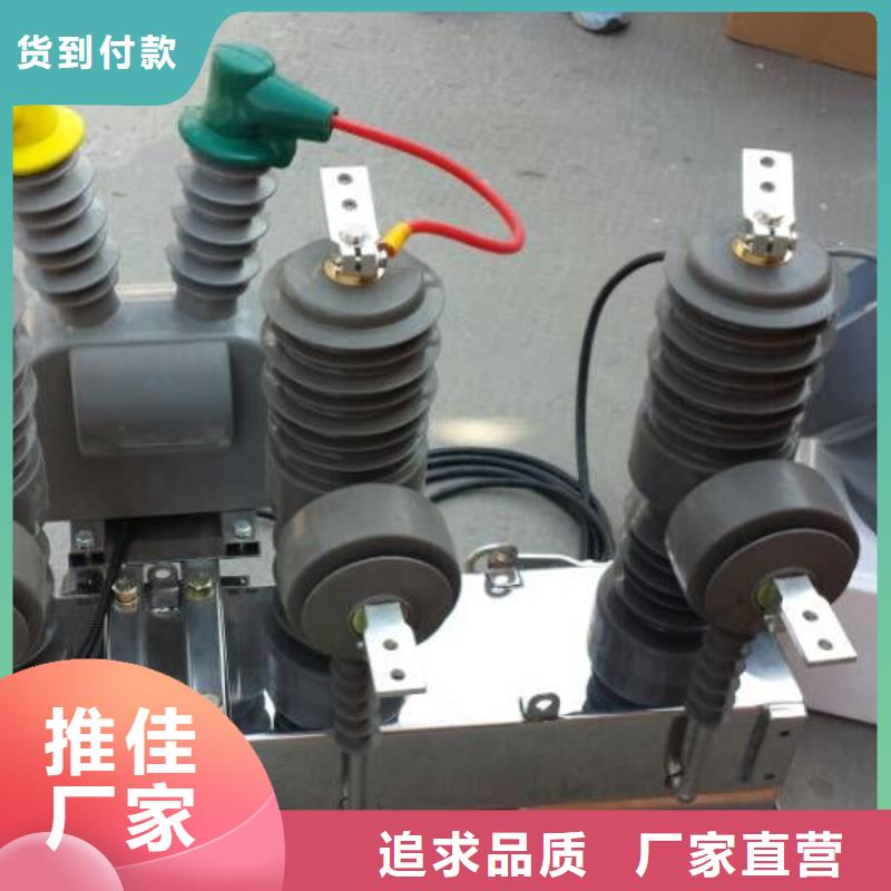 品牌【羿振电气】ZW32-24G