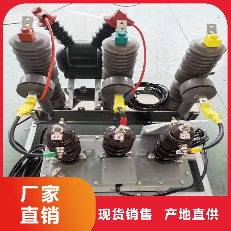 品牌：【羿振电气】真空断路器ZW32-12MG/630