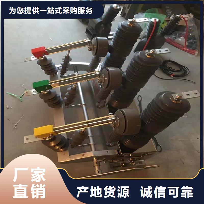品牌：【羿振电气】真空断路器ZW32-12MG/630