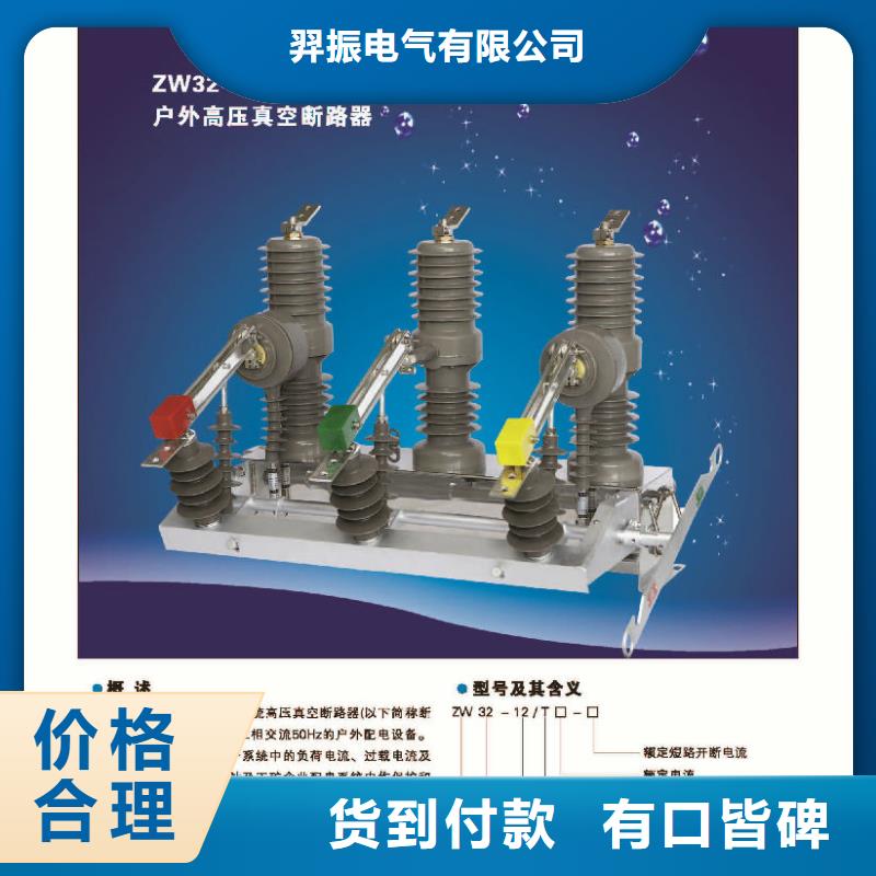 品牌：【羿振电气】真空断路器ZW32-12MG/630