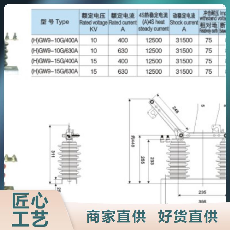 【隔离刀闸】FGW9-10/200