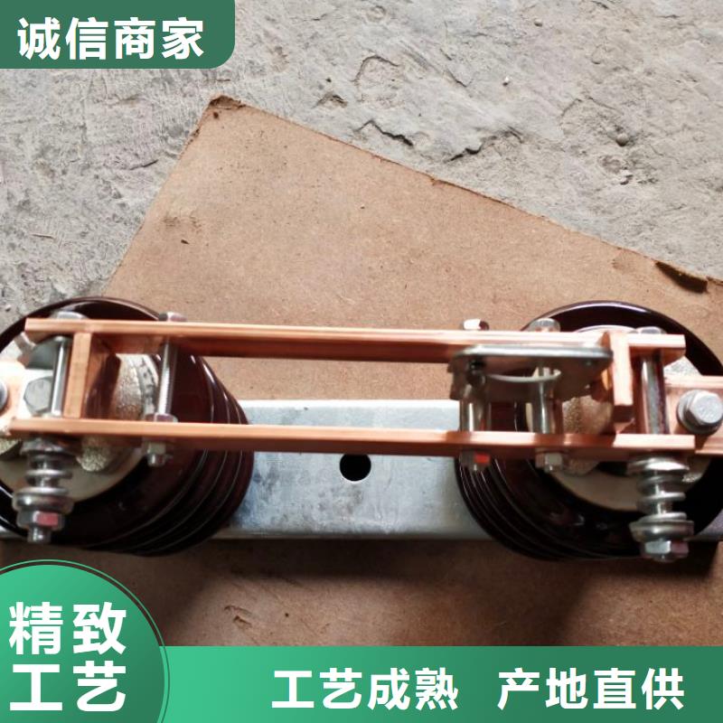 【隔离刀闸】FGW9-10/200