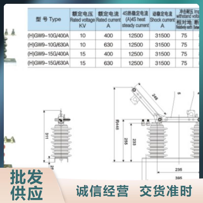 高压隔离开关HGW9-15G/630A