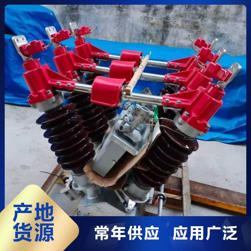 35KV风电场用高压隔离开关GW5-40.5D/1250A生产商品牌：羿振电气