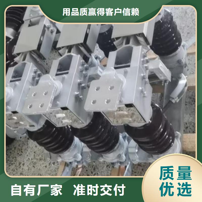 【羿振电力】高压隔离开关GW5-40.5D/630A四级防污、侧装、单接地，手动
