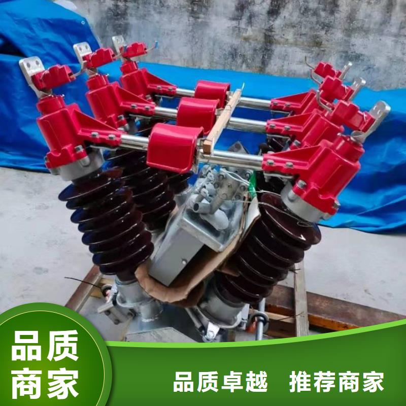 【羿振电气】高压隔离开关GW5-40.5D/630A单接地手动