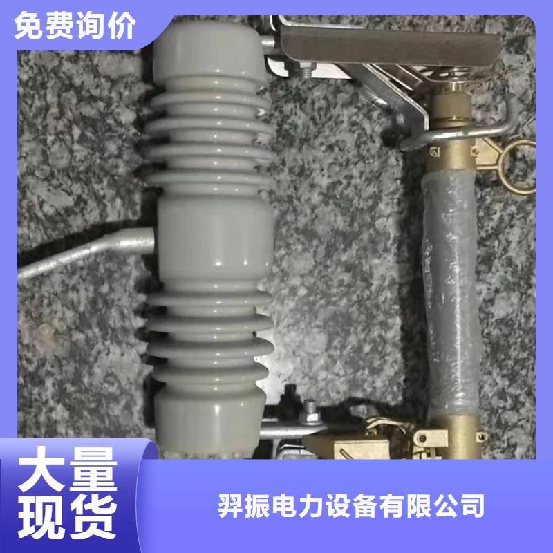 高压熔断器/RW10-10/100