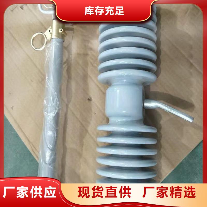 【羿振电力】跌落式熔断器RW11-10F-100A