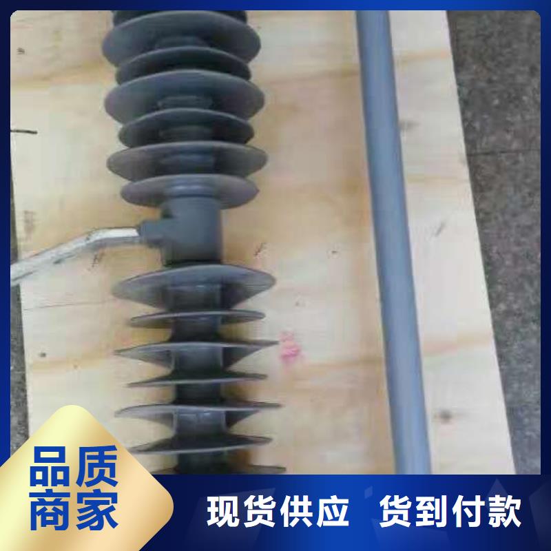 【跌落式熔断器】HRW12-15/200