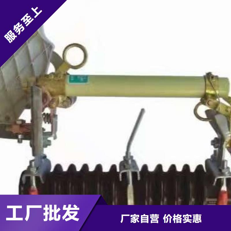 【羿振电力】跌落式熔断器RW11-10F-100A