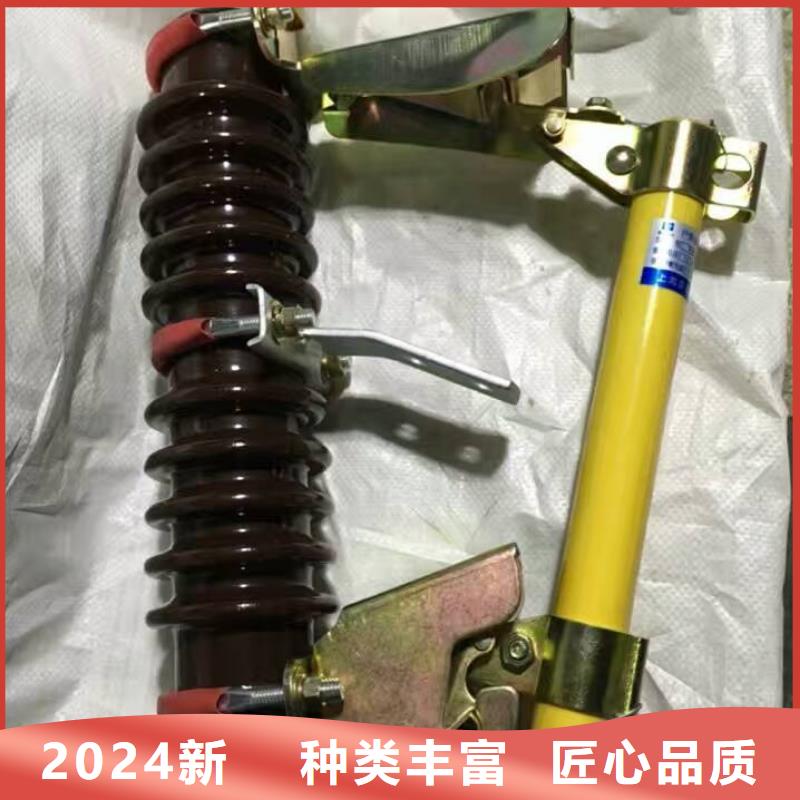 跌落式熔断器RW12-12KV/200A.