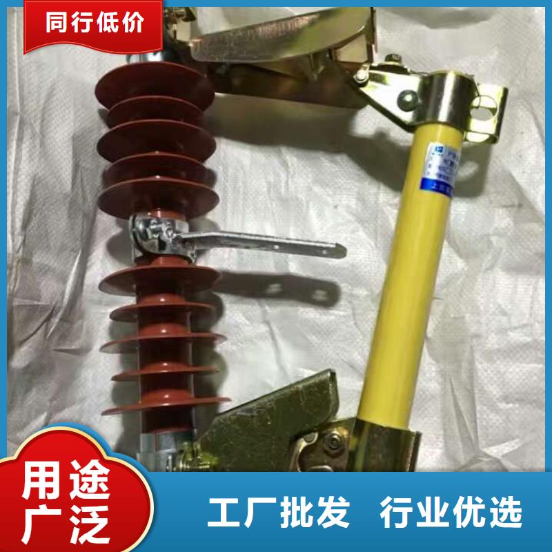 跌落式熔断器PRW-10/100A