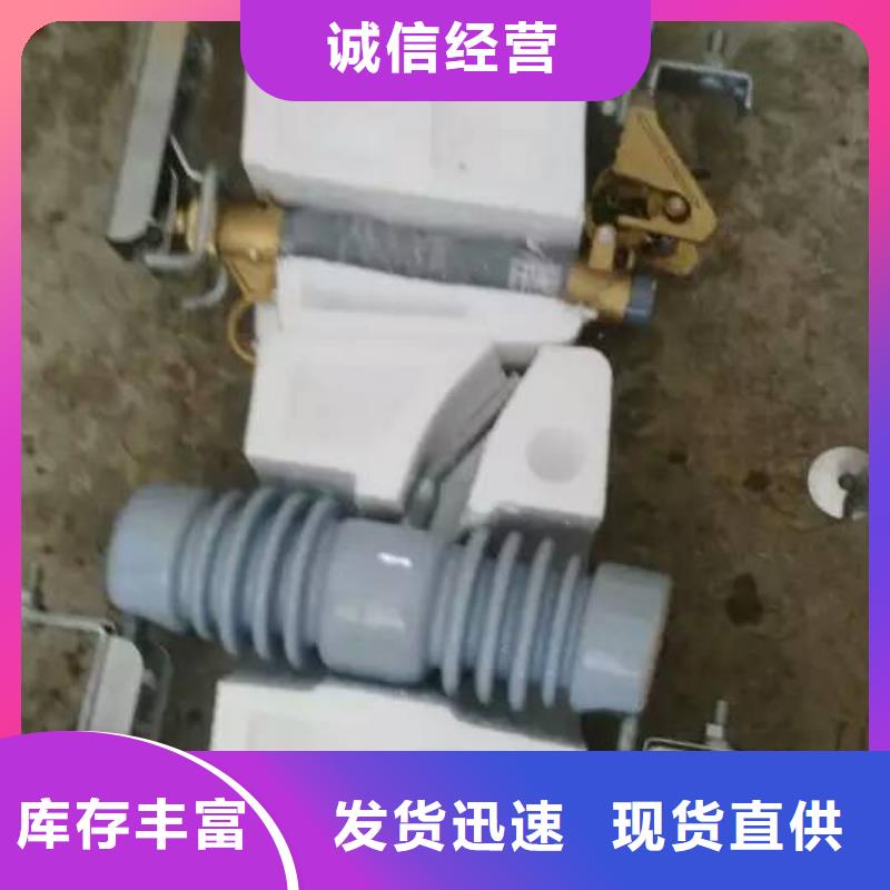 羿振电气【跌落保险】RW12-12/100