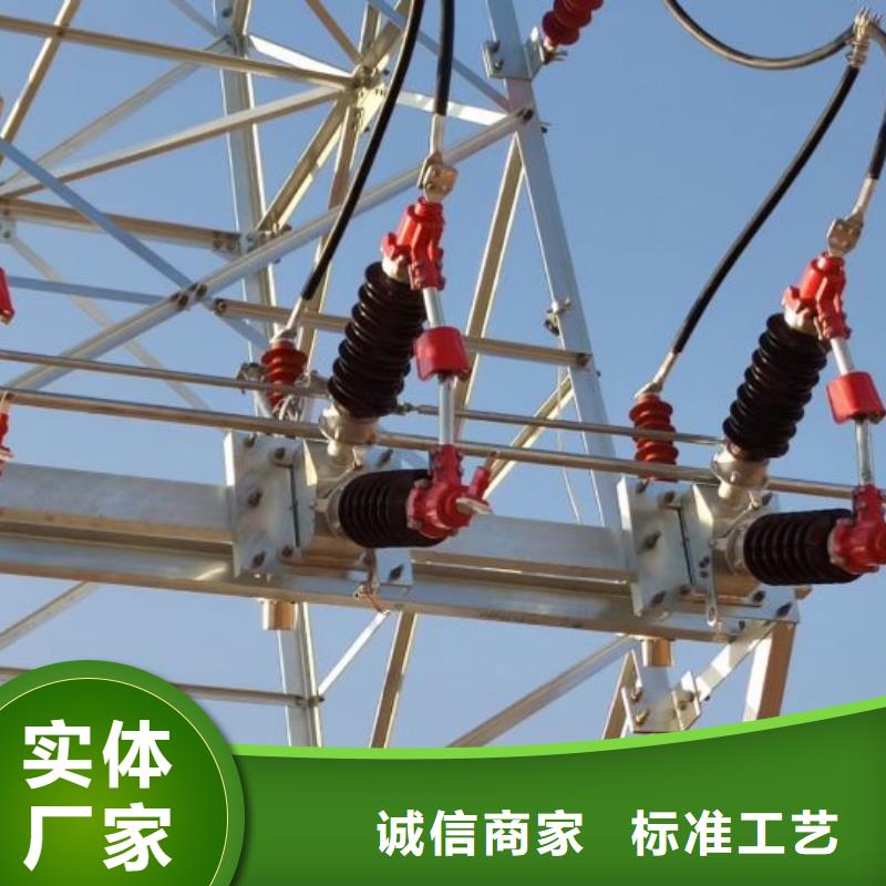 【绝缘子】支柱绝缘子_ZSW2-252/12