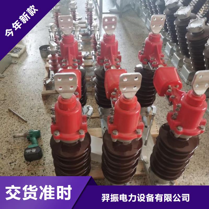 氧化锌避雷器【羿振电气】YWC10-50/240