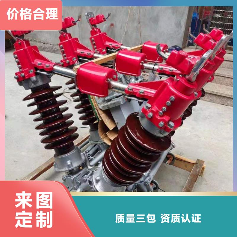 隔离开关HGW9-10/1250