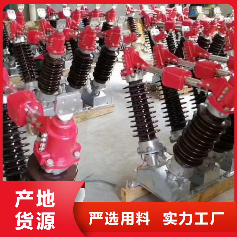 ZSW-35/400：支持绝缘子