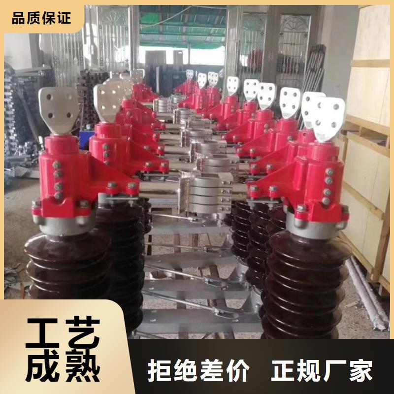 【金属氧化物避雷器】HY10W1-200/496W-
免费咨询