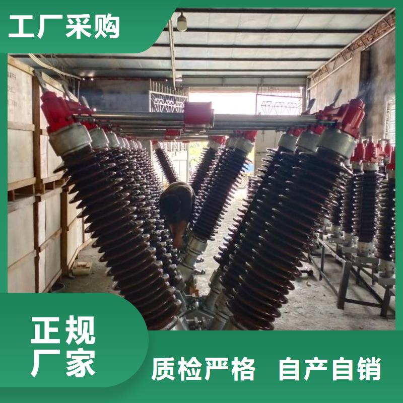 跌落式熔断器PRWG1-12F/100