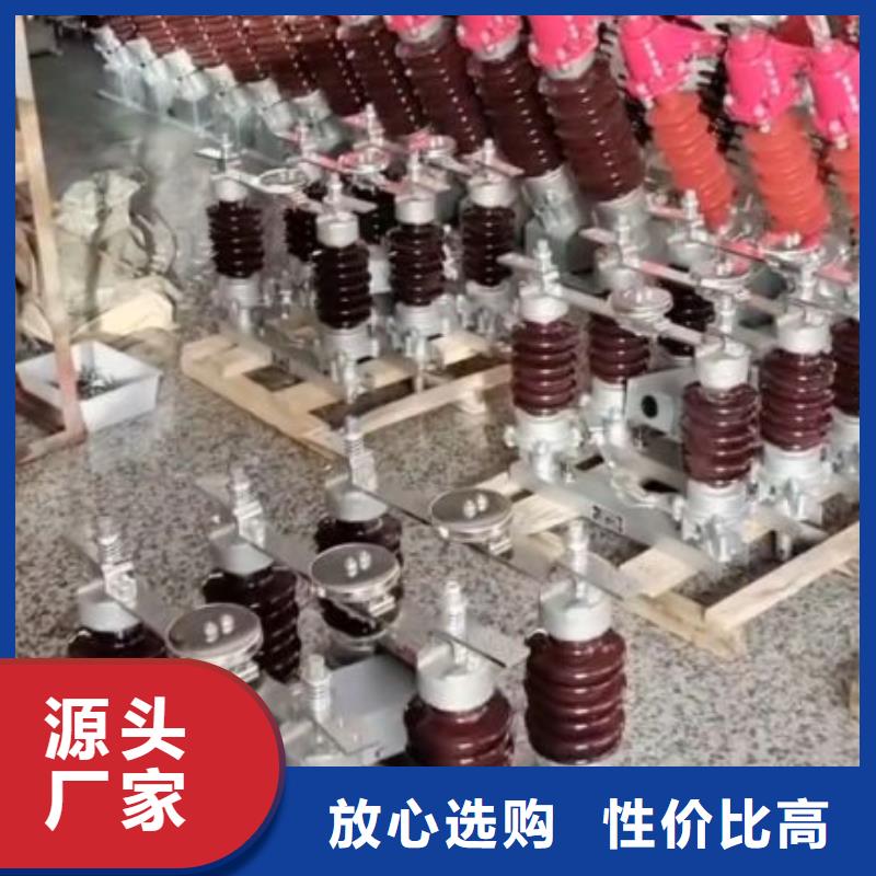 防风偏复合绝缘子FYTX-66/100-T