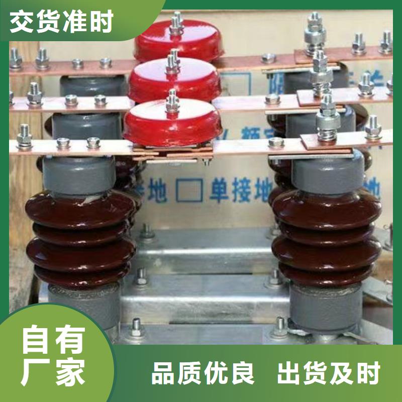 JCQ3-A避雷器运行监测器-值得信赖