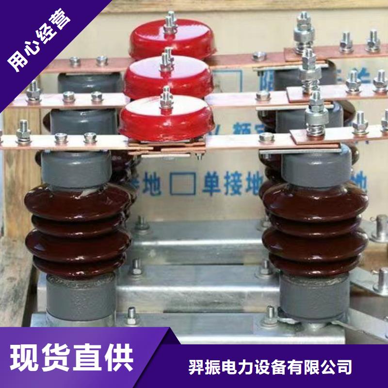 【高压隔离开关】GW4A-110IIDW/630A