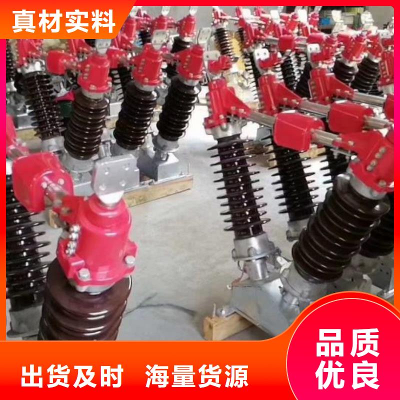 智能分界断路器/ZW20-12F/T630-20