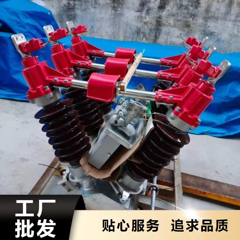 【避雷器】金属氧化物避雷器YH5W5-17/50