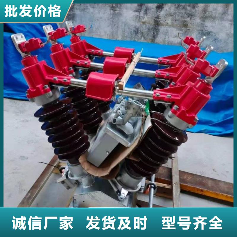 【高压隔离开关】HGW9-10G(W)/400A