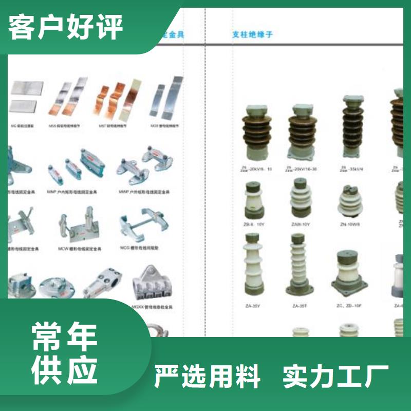绝缘子ZSW-63/8-2＿绝缘子ZSW3-35/4-2
