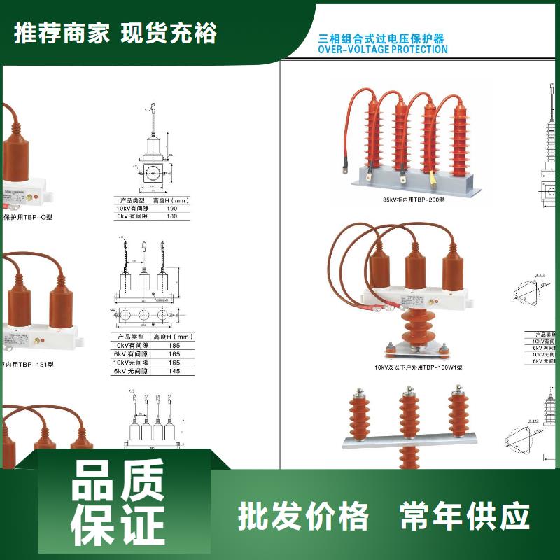 【羿振电力】YH10W1-96/250W生产厂家