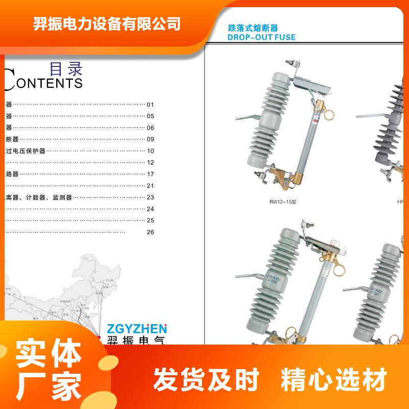 氧化锌避雷器【羿振电气】YWC10-50/240