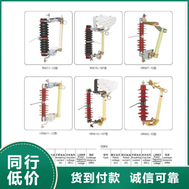 氧化锌避雷器【羿振电气】YWC10-50/240