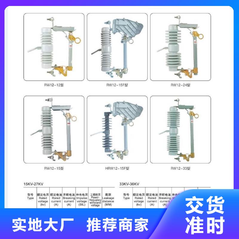 ZW32-12/630-25手动＿弹簧操作机构