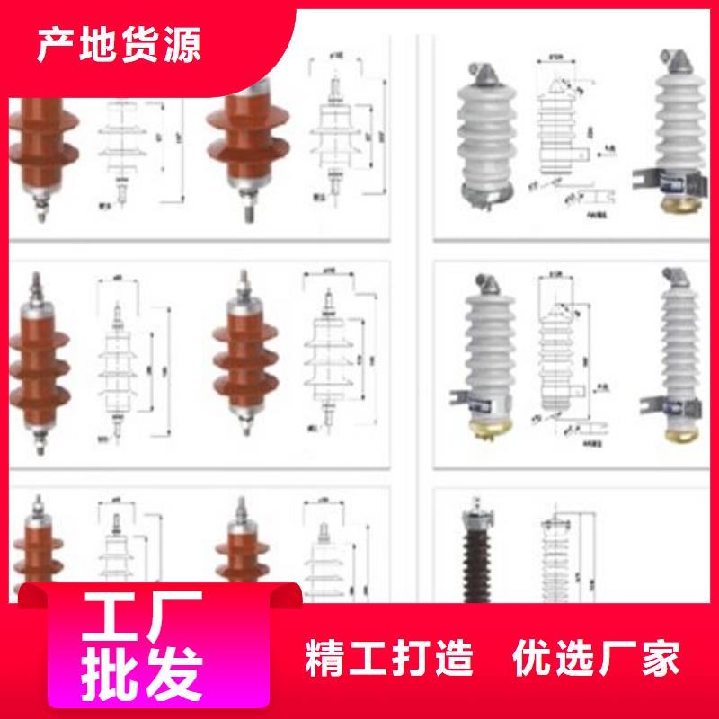 【金属氧化物避雷器】Y10W-102/266-
价格优惠
